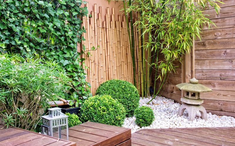 Bamboo landscaping ideas landscape garden backyard rescue planter gardens front gardenloversclub blog source planters choose board maintenance consultation installation