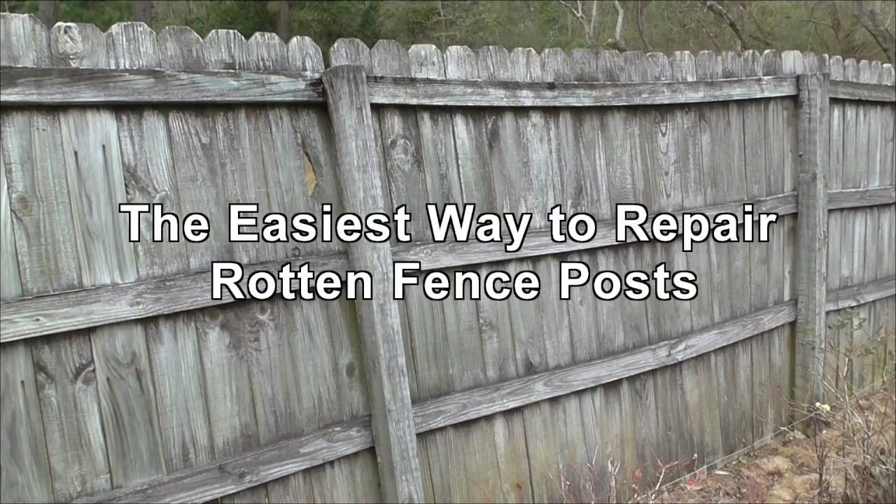 Fence broken