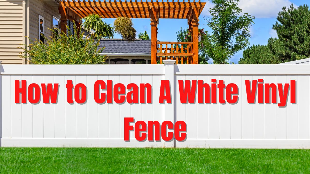 Vinyl fence clean white cleaning crown patio yard few features there like can