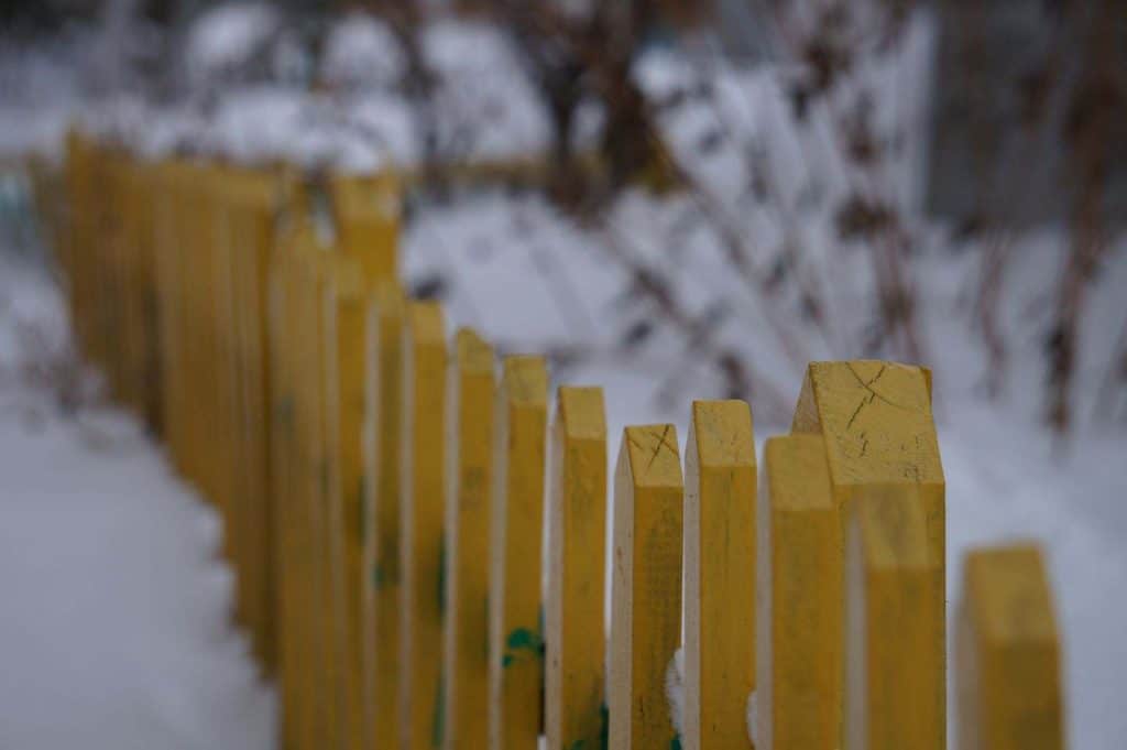 Best cleaner for wood fence