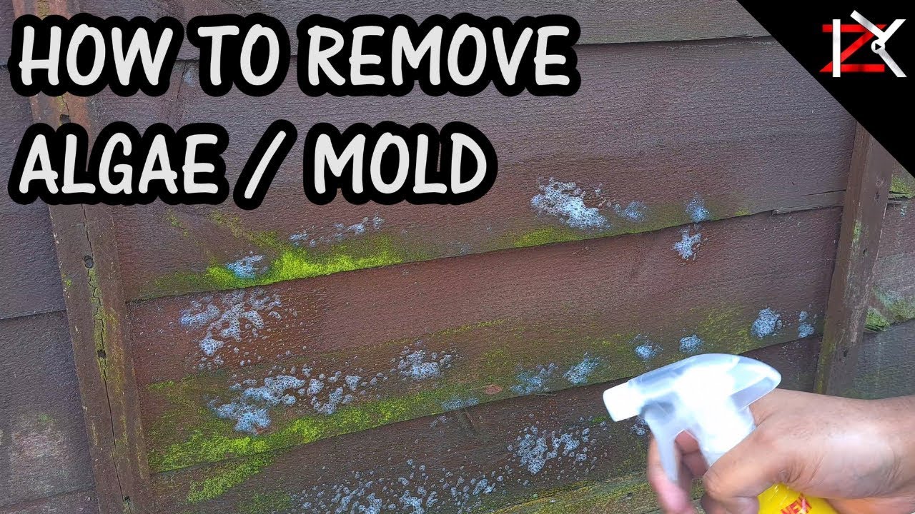 How to clean mildew from vinyl fence