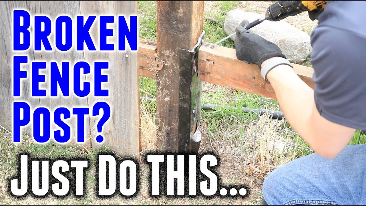Fence broken buddy stakes rotted