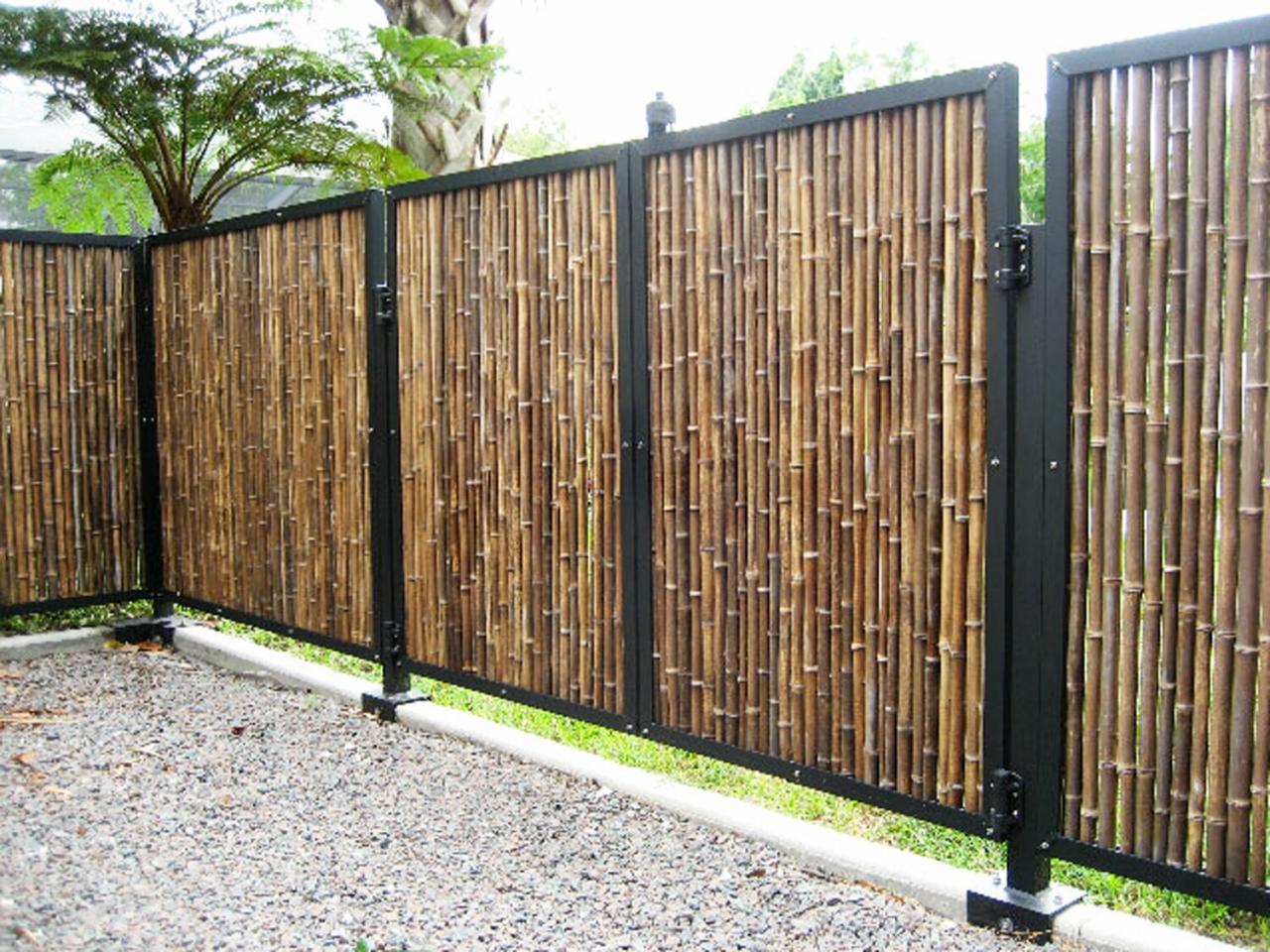 Privacy bamboo screen garden screening plants ideas used backyard visit container